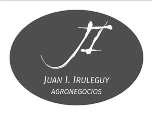 Juan I. Iruleguy